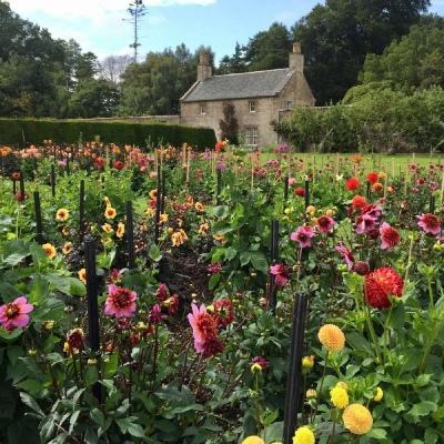 乐宝体育官网登录入口手机app下载