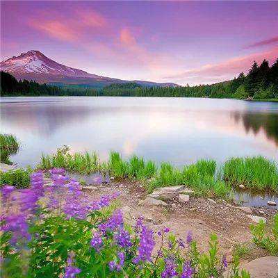 新宝体育官方登录入口