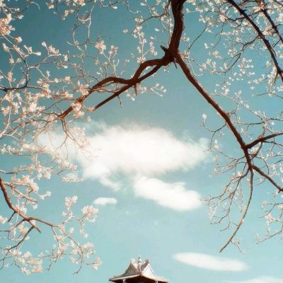 天博体育官方平台入口app下载