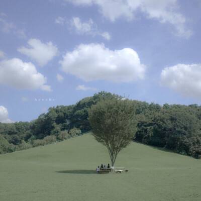 BOB体育综合官方平台APP