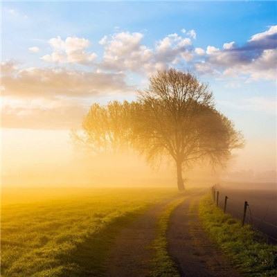 半岛手机综合体育官方下载